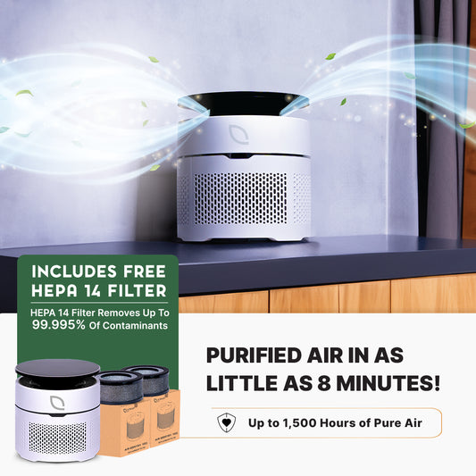 Air Sentry 100 – Open Box