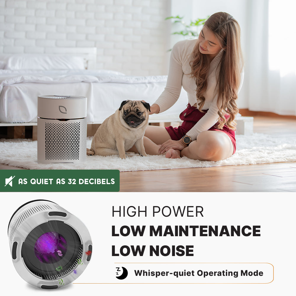 Air Sentry 300 – Open Box