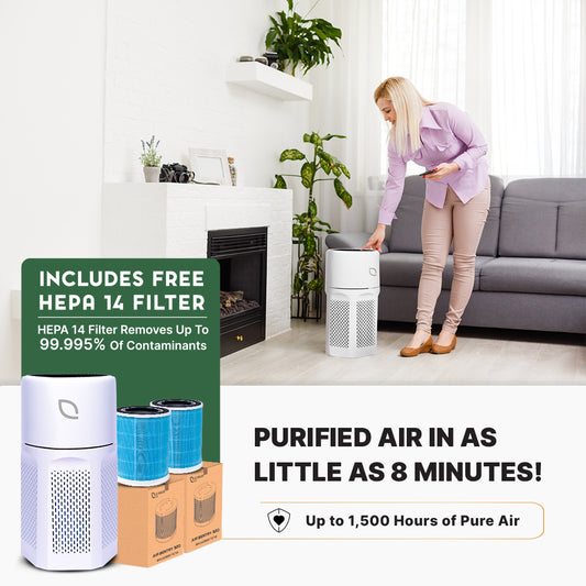 Air Sentry 500 – Open Box