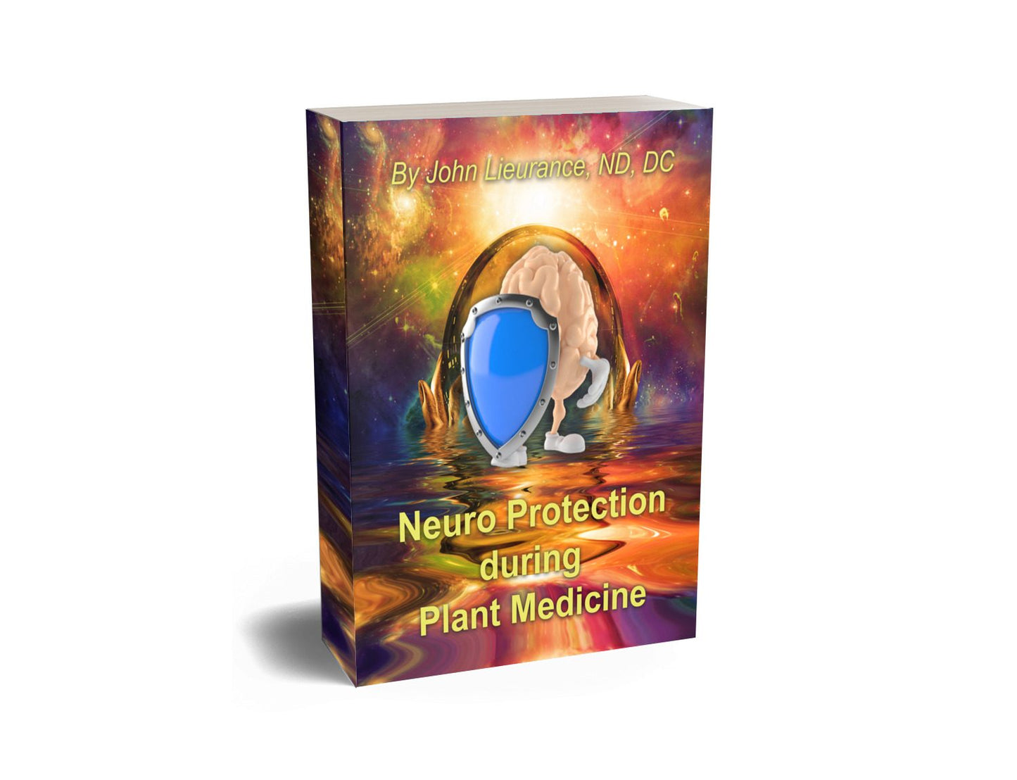Neuro-Protection E-Book