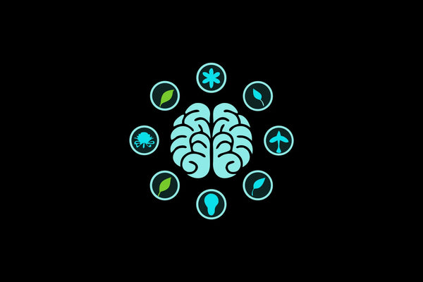 A brain surrounded by eight icons of natural nootropics for cognitive support.