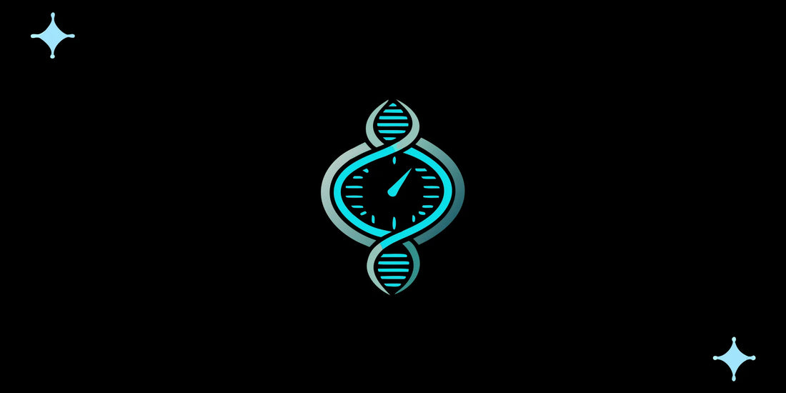 A clock inside a DNA helix for biological age optimization.