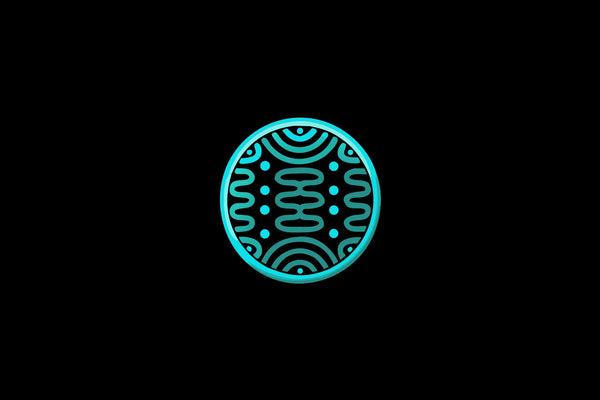 Mitochondrial supplements supporting cellular energy