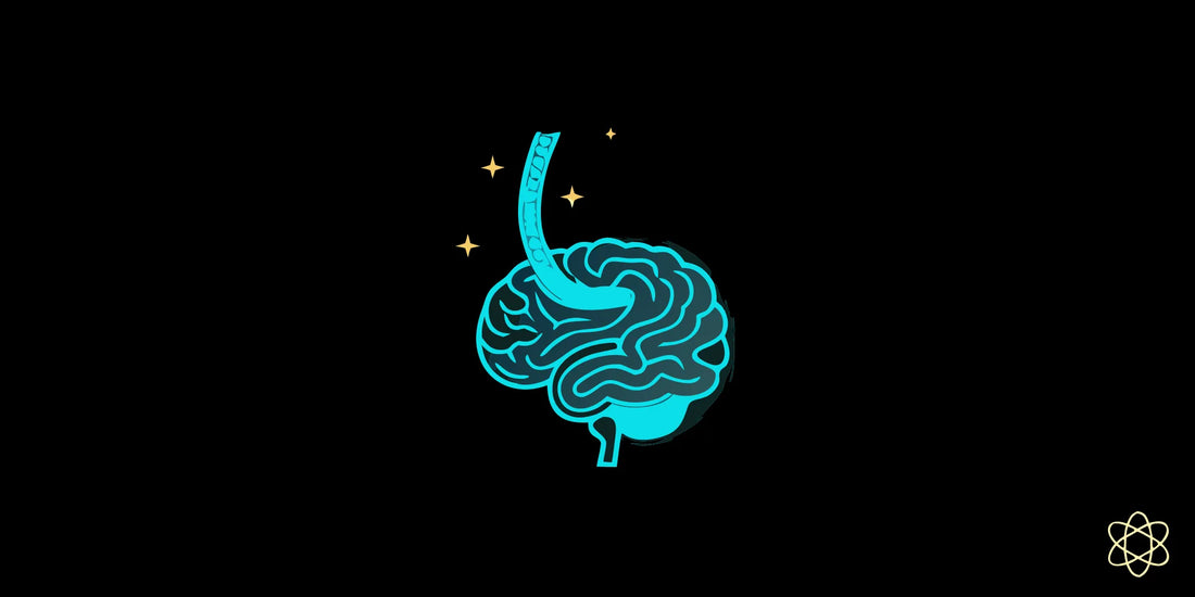 Near-infrared light therapy targeting brain and gut health with mitochondrial energy particles