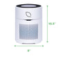Air Sentry 300