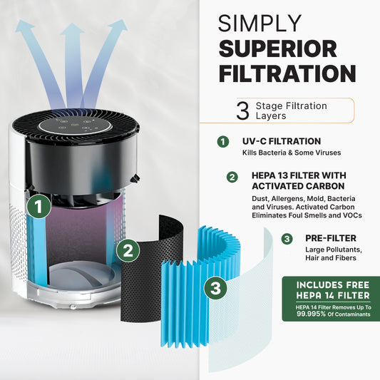 Air Sentry 300 – Open Box