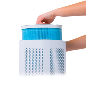 Air Sentry 500