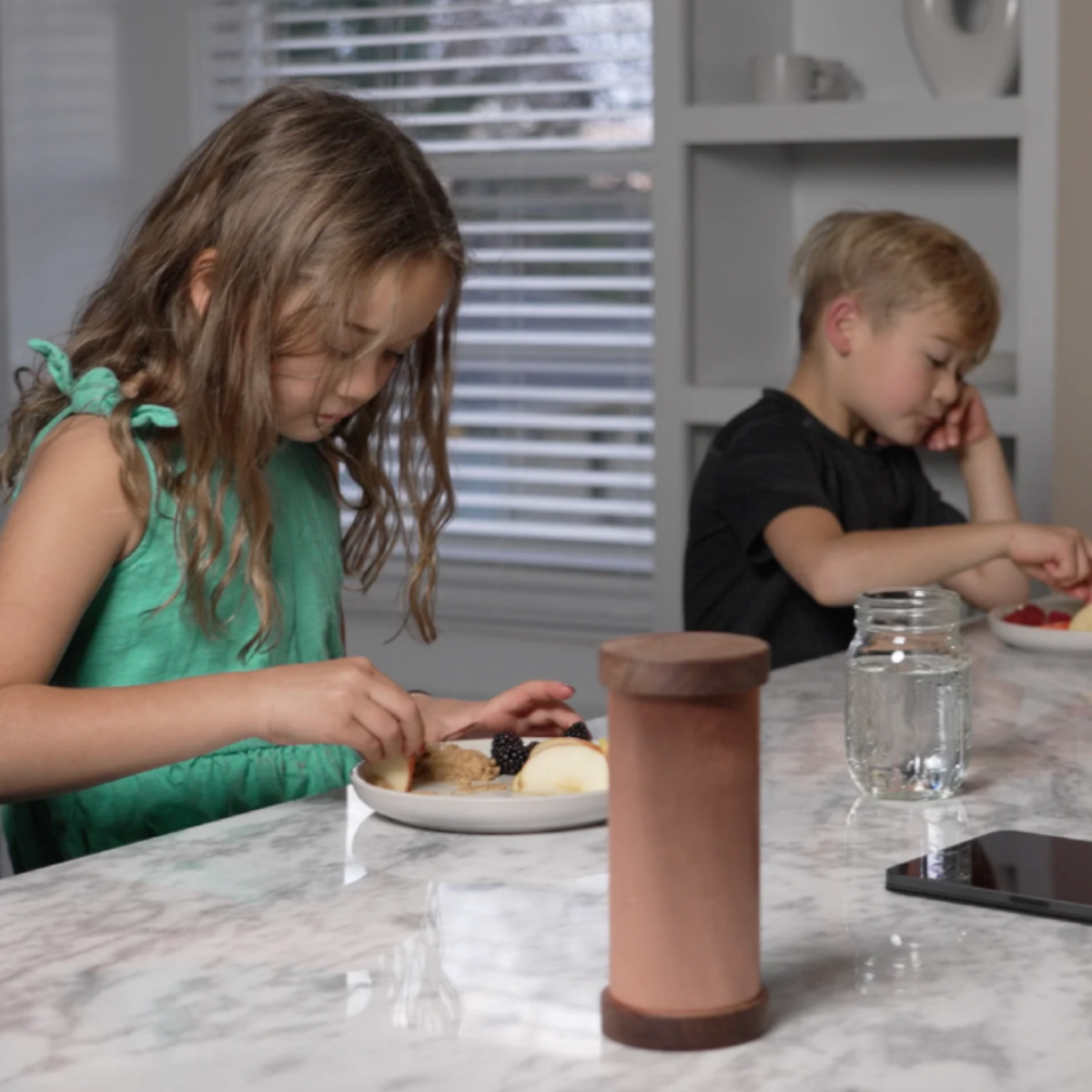 QI-SHIELD™ – Personal EMF Protection