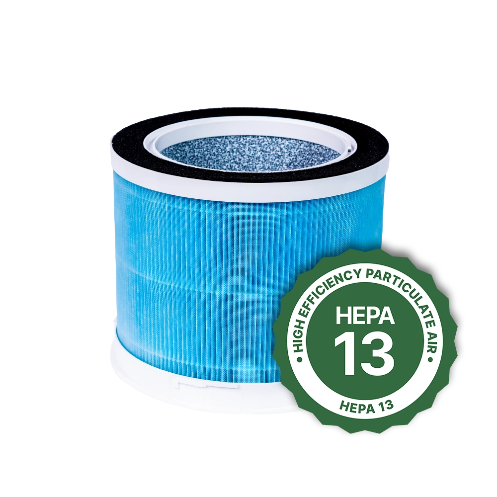 Air Sentry 300 HEPA 13 Filter