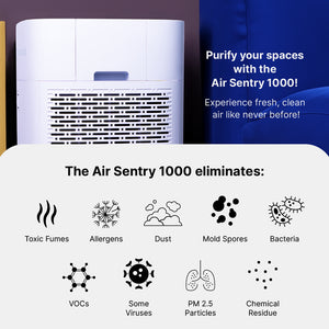 Air Sentry 1000