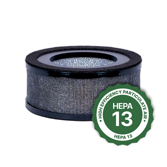 Air sentry 100 HEPA 13 replacement filter