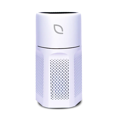 Air Sentry 500 on transparent background