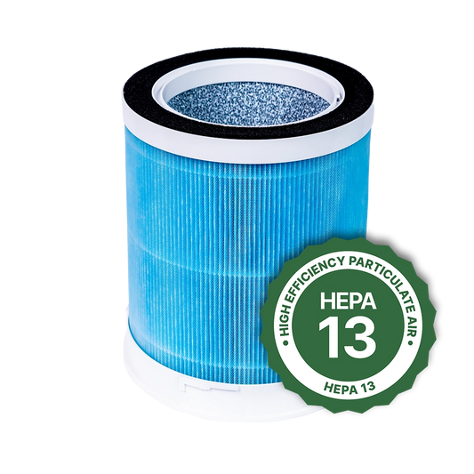 Air Sentry 500 HEPA 13 Filter