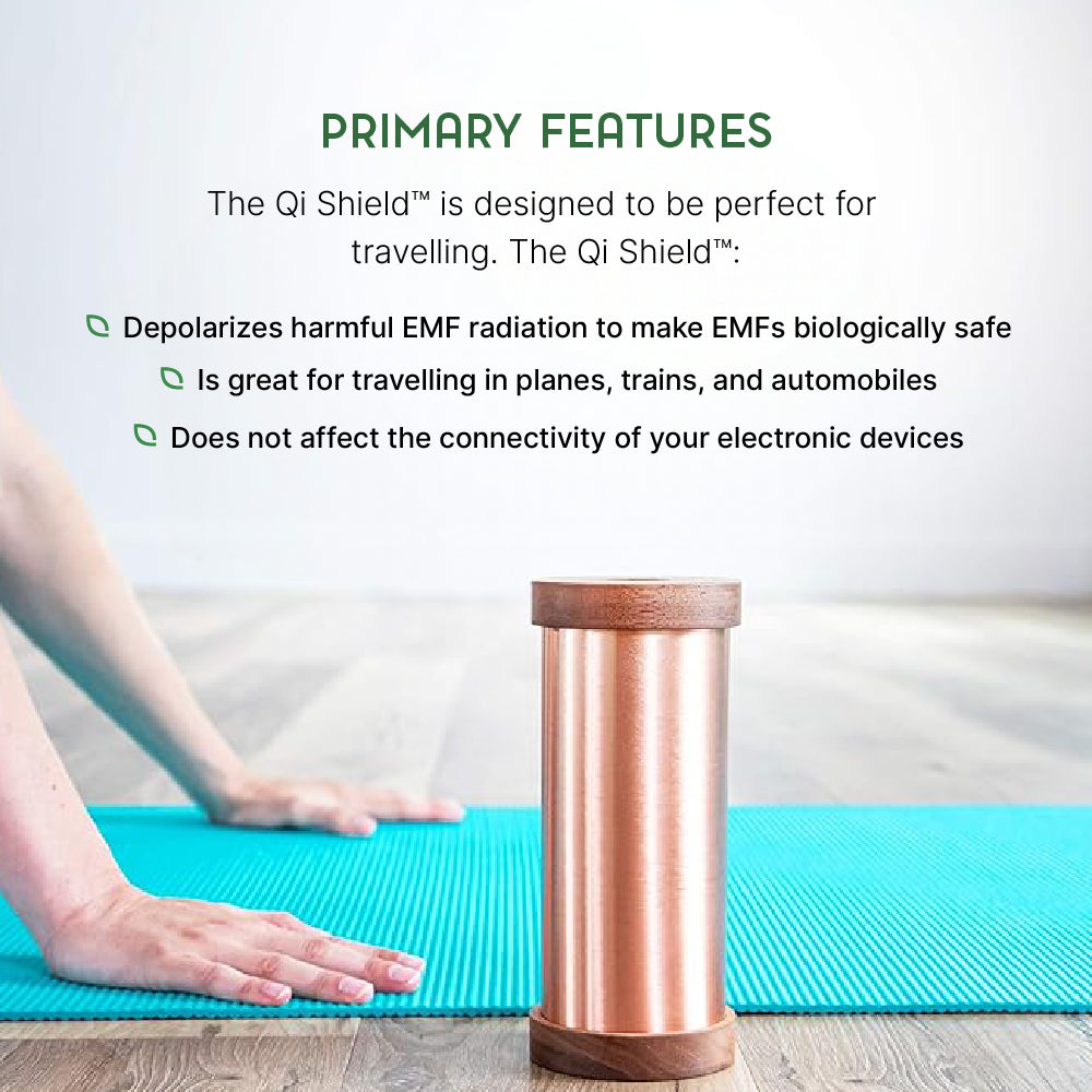 Primary Features of a Qi Shield