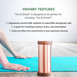 Primary Features of a Qi Shield