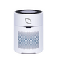 Air Sentry 300