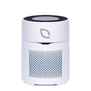 Air Sentry 300