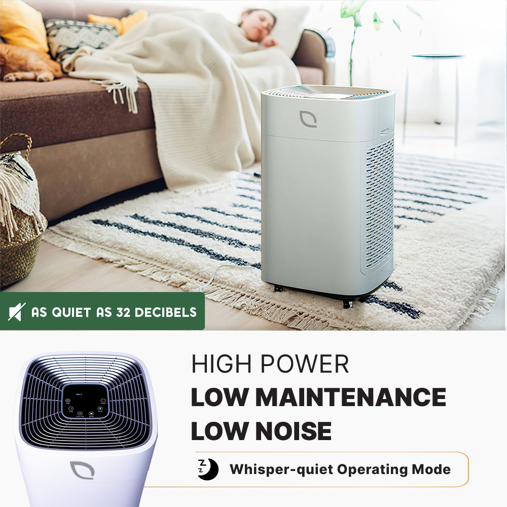 Air Sentry 1000 – Open Box