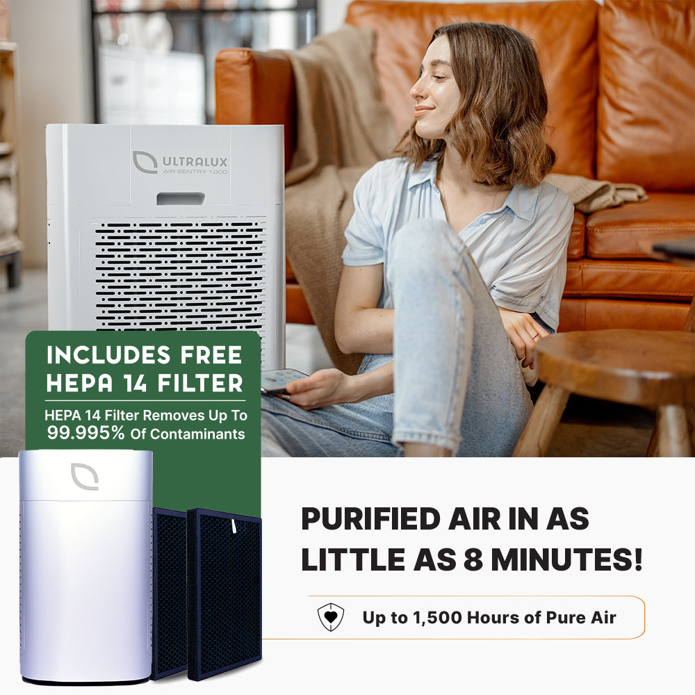 Air Sentry 1000 – Open Box